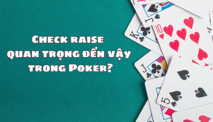 Check raise quan trọng đến vậy trong Poker?