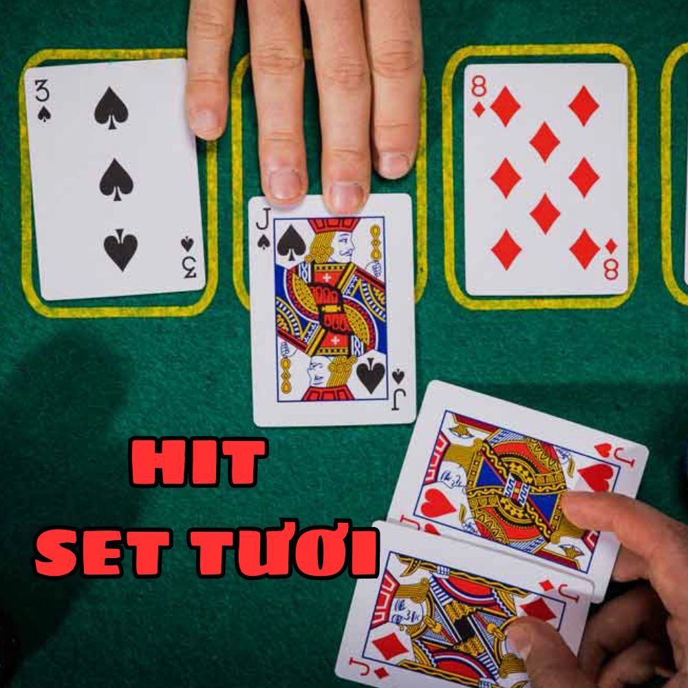 Hit set tươi