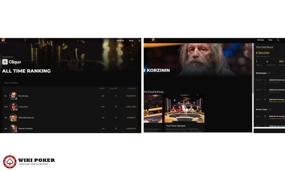 Trang web giúp tìm kiếm thông tin player tại Triton
