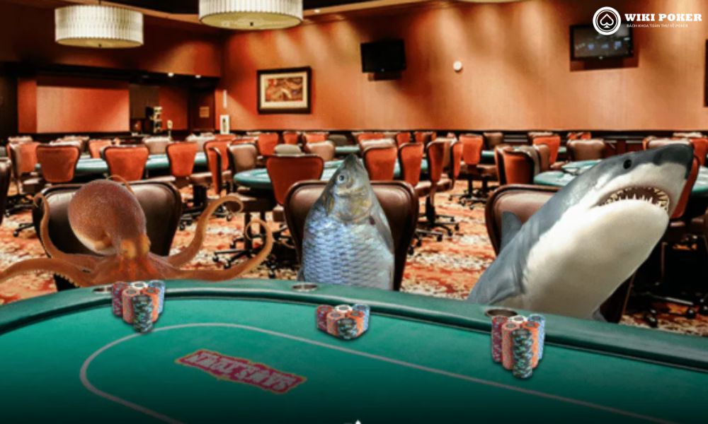 Poker live là nơi có những game mang lại lợi nhuận cao nhất